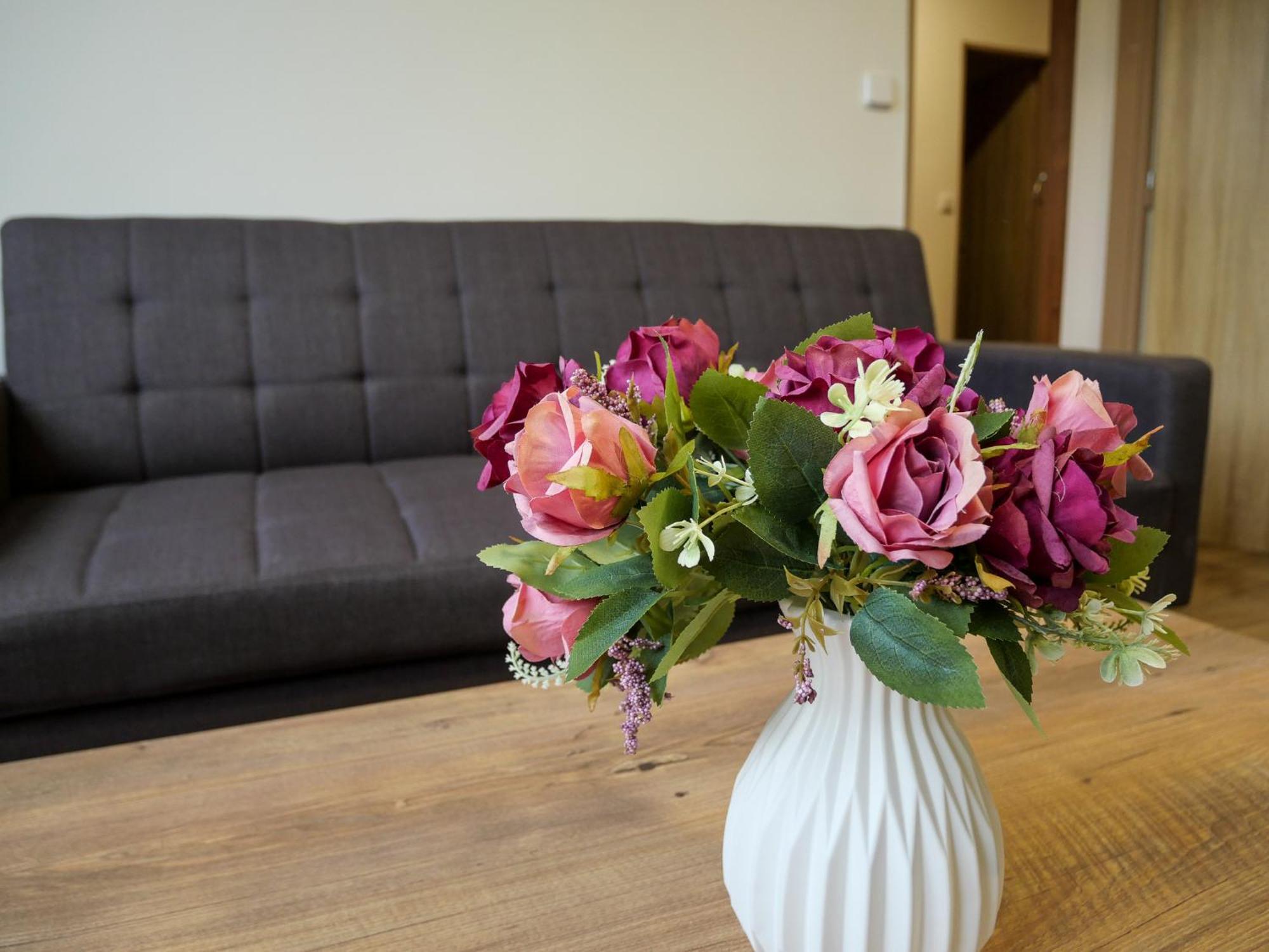 Apartmanovy Kristyna Apartment *